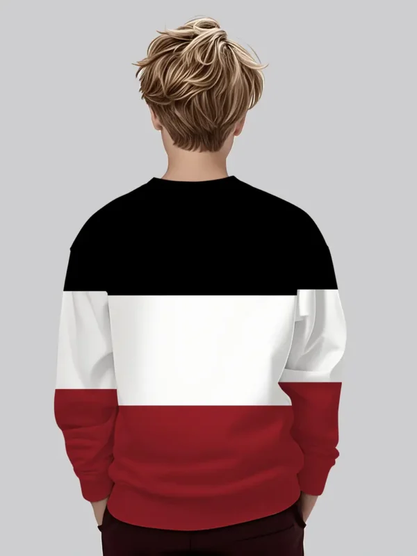 Sudadera tricolor - Imagen 2